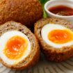 Kako da pripremite škotska jaja? 15