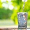 Preporučenih osam čaša možda je previše: Koliko je organizmu potrebno vode dnevno? 47