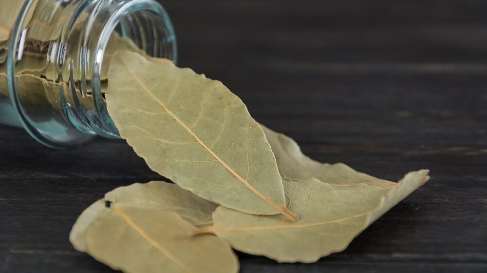 Kako sami da napravite sirup od lovorovog lista? 1