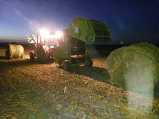 silaža noćna "Skupljam sirak da nahranim krave da ne crknu, a ne da daju mleko": Katastrofalna situacija u vojvođanskom stočarstvu 4