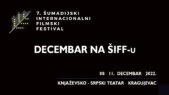 03 - SIFF 07 3. dan Filmovi „Leto kada sam naučila da letim”, „Poslije zime” i „Zlatni dečko” na trećoj večeri kragujevačkog ŠIFF-a 3