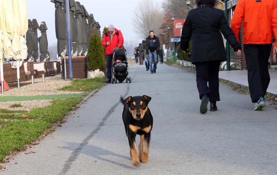 U novogodišnjoj noći u Srbiji suvo, do osam stepeni 1