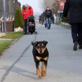 U novogodišnjoj noći u Srbiji suvo, do osam stepeni 8