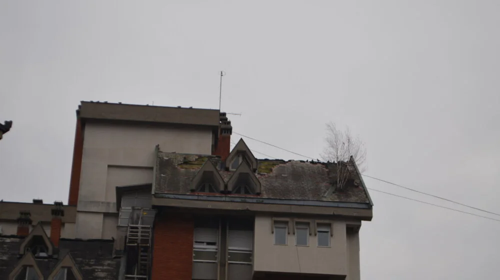 "Zgrada pada odozgo i onda ne može da se zaustavi": Na stambenoj zgradi u Vranju niklo drvo koje je oštetilo krov 1