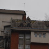 "Zgrada pada odozgo i onda ne može da se zaustavi": Na stambenoj zgradi u Vranju niklo drvo koje je oštetilo krov 9