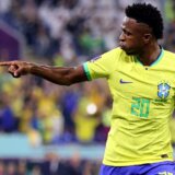 (VIDEO) Mačka i portparol ukrali "šou" na mundijalskoj konferenciji za medije Brazila 12