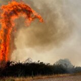 Kako je izgledala 2022. godina u svetu kroz fotografije? 35