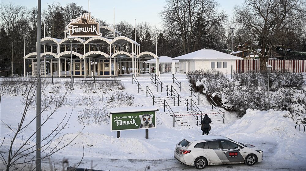 Švedska: U zoološkom vrtu ubijene četiri odbegle šimpanze nakon višednevne drame 1