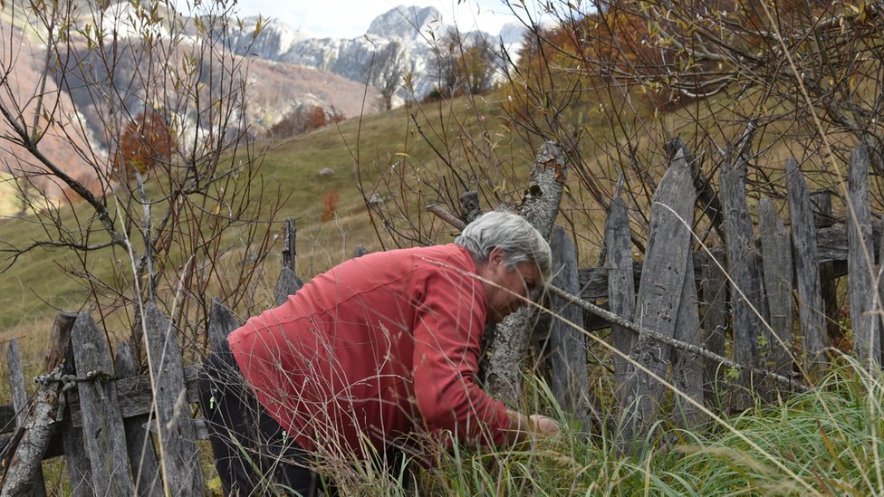 Balkan i tradicija: Poslednje virdžine u Albaniji, žene kjoje su pristale da žive kao muškarci 2 Gjystina gathering herbs on her land