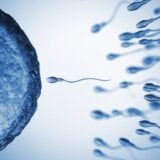 Zdravlje i seks: Pet razloga zašto opada broj spermatozoida kod muškaraca 5