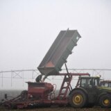 Vlada Srbije usvojila uredbu o podsticajima u poljoprivredi od 23 milijarde dinara 12