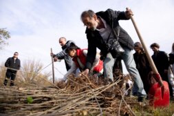 Zaposleni UNIQA osiguranja posadili više od 1700 stabala 2