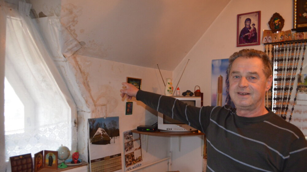 "Zgrada pada odozgo i onda ne može da se zaustavi": Na stambenoj zgradi u Vranju niklo drvo koje je oštetilo krov 2