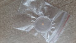 Zrenjaninac Milenko Topalov iskovao najmanji zlatnik na svetu i ušao u Ginisovu knjigu rekorda 2