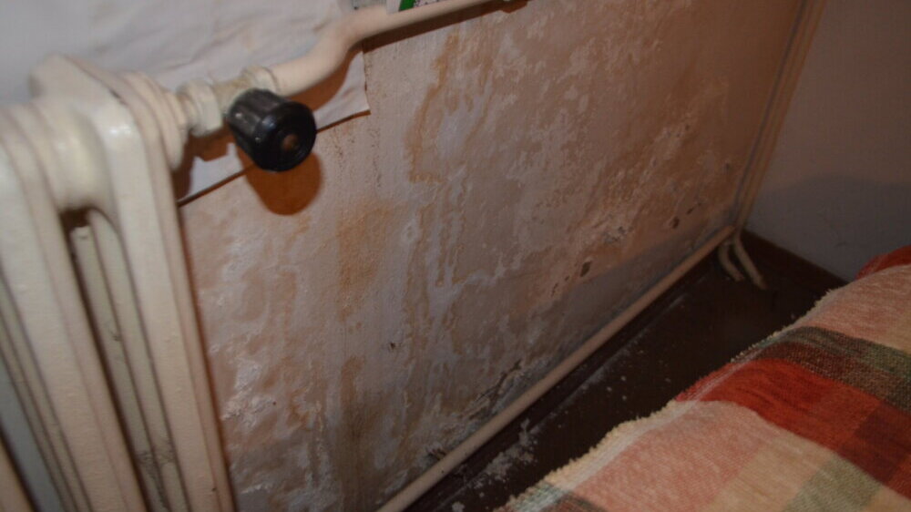 "Zgrada pada odozgo i onda ne može da se zaustavi": Na stambenoj zgradi u Vranju niklo drvo koje je oštetilo krov 3