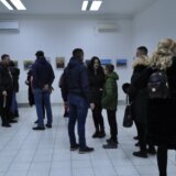 “Slikama iz života” Marije Temišanović završava se ovogodišnja izlagačka sezona u Galeriji Centra za kulturu Majdanpek 14