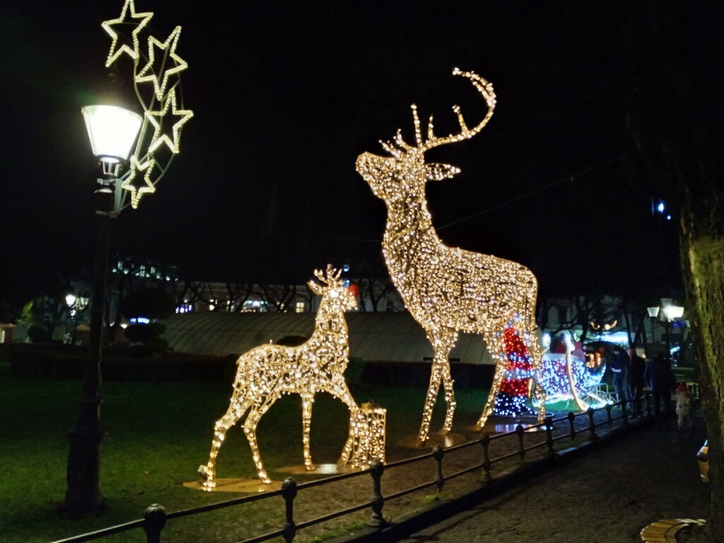 Smeštajni kapaciteti u Subotici i na Paliću za novogodišnje praznike gotovo popunjeni, turistička 2022. godina rekordna 3