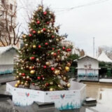 Koje su jelke "zelenije" - veštačke ili prirodne? 5