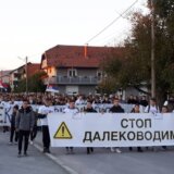 Nišlije protestovale zbog izgradnje dalekovoda na keju, neće beton već zelenilo 15