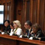 Darija Kisić: Moramo stimulisati mlade da što pre postanu roditelji 12