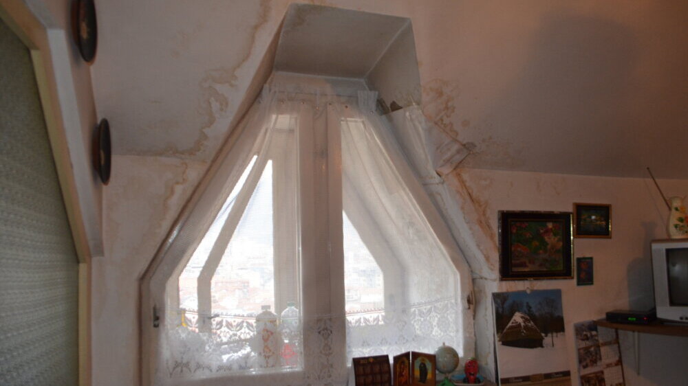 "Zgrada pada odozgo i onda ne može da se zaustavi": Na stambenoj zgradi u Vranju niklo drvo koje je oštetilo krov 4