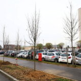 Kragujevac: Posađeno 120 sadnica javora i jasena 13