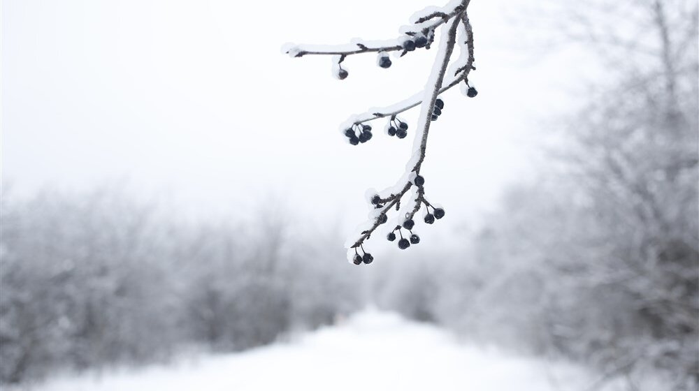 Sneg na Kopaoniku devet centimetara, temperatura šest stepena ispod nule 1