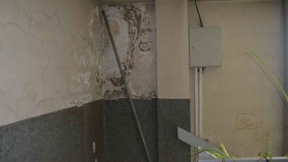 "Zgrada pada odozgo i onda ne može da se zaustavi": Na stambenoj zgradi u Vranju niklo drvo koje je oštetilo krov 6