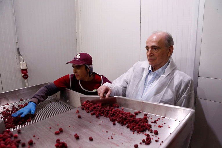 Koje "talente" i umeća pokazuju političari na vlasti (FOTO/VIDEO) 3 Koje "talente" i umeća pokazuju političari na vlasti (FOTO/VIDEO) 3