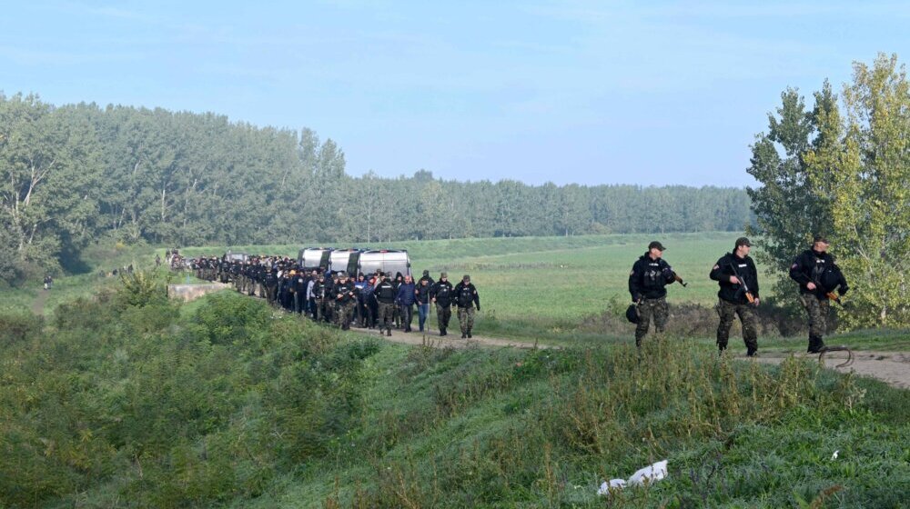 Lipavski: Srbija napravila veliki pomak u suzbijanju nelegalne migracije 16