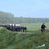 Lipavski: Srbija napravila veliki pomak u suzbijanju nelegalne migracije 14