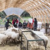 „Šta bi kustosiranje trebalo/moglo da bude” na Kolarcu 2