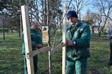 Sadnjom drveća akcija DDOR osiguranja „Za šumu u tvom kraju“ počela u Novom Sadu 6