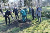 Sadnjom drveća akcija DDOR osiguranja „Za šumu u tvom kraju“ počela u Novom Sadu 3