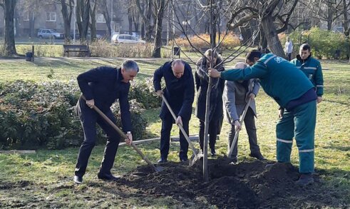 Sadnjom drveća akcija DDOR osiguranja „Za šumu u tvom kraju“ počela u Novom Sadu 7