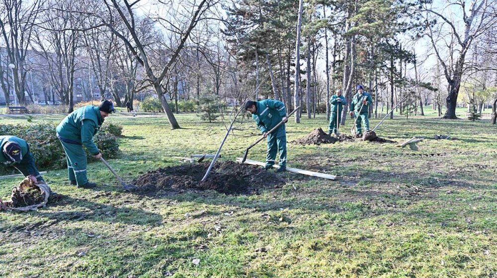 Sadnjom drveća akcija DDOR osiguranja „Za šumu u tvom kraju“ počela u Novom Sadu 1