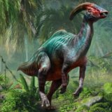 Da li bi čovek današnjice čuo zvuke dinosaurusa? 5