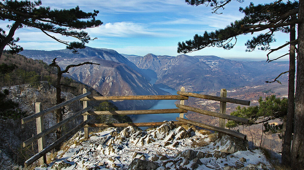 Zašto je javnost uznemirena najavom Opštine Bajina Bašta da će 70 hektara na Tari pretvoriti u građevinsko zemljište 1