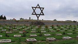 Dr Jelena Erdeljan o Holokaustu i umetnosti: Vizuelne beleške svakodnevnog pakla 11