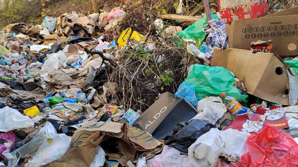 U Novom Pazaru 21 divlja deponija, veliki problem životinjski otpad 1