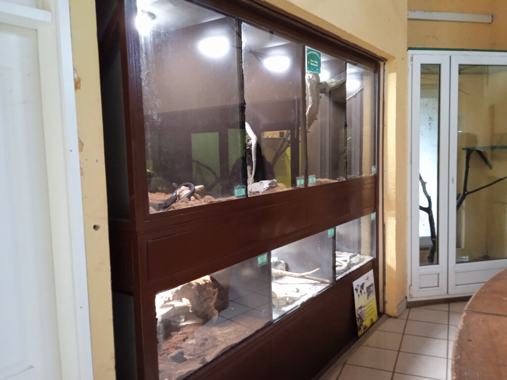 Veterinar objašnjava kako je mrežasti piton izašao iz terarijuma i usmrtio majmunicu u Zoo vrtu Palić 2