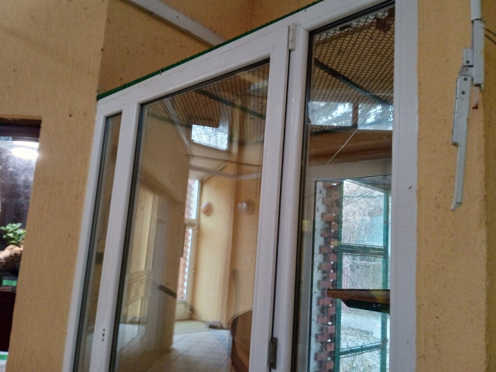 Veterinar objašnjava kako je mrežasti piton izašao iz terarijuma i usmrtio majmunicu u Zoo vrtu Palić 3