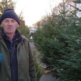 Tradicija koja bledi: Prirodne jelke krase sve manje subotičkih domova 1