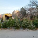 Novogodišnje jelke na pijacama najviše kupuju Rusi: Cene (skoro) za svaki džep 1