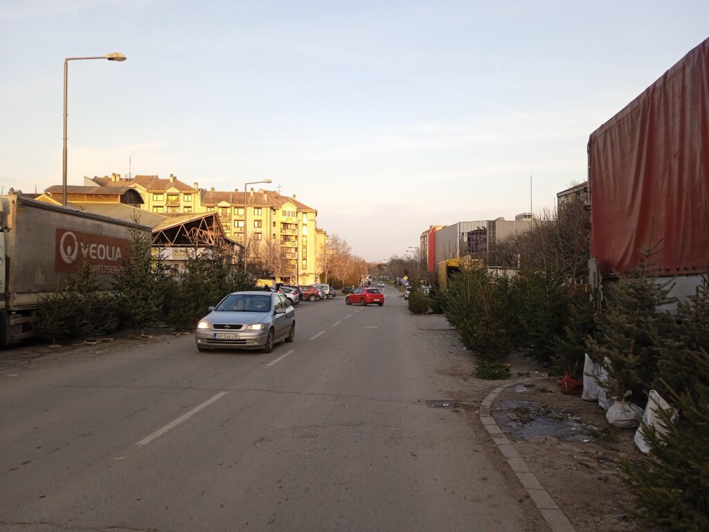 Tradicija koja bledi: Prirodne jelke krase sve manje subotičkih domova 3