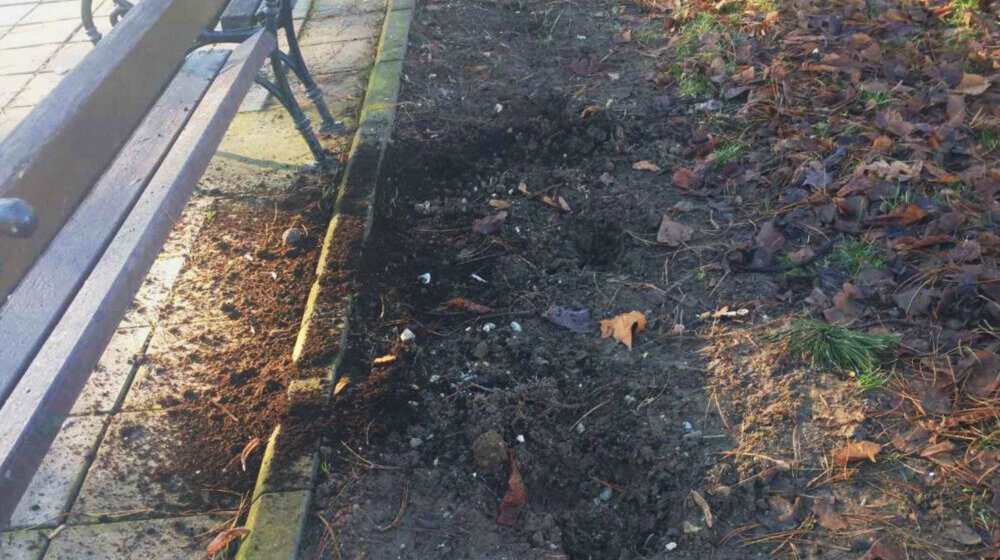 Ponovo ukradene sadnice iz Velikog parka u Kragujevcu 1