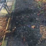 Ponovo ukradene sadnice iz Velikog parka u Kragujevcu 11