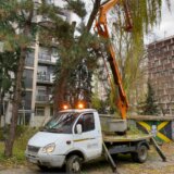 Jesenje uređenje zelenih površina u Kragujevcu 13