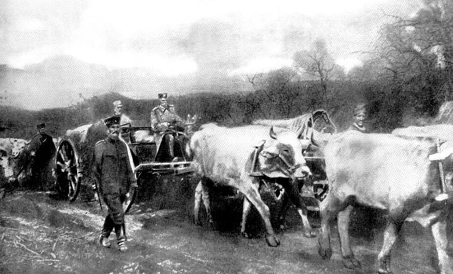 Zašto se kaže "ne trči pred rudu"? 1