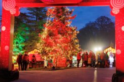 "Čekala sam ga i nisam mogla da spavam zbog njega": Pitali su mališane u Srbiji kakav je Deda Mraz, odgovori će vam zagrejati srca (VIDEO) 6